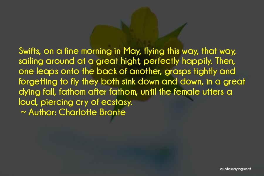 Charlotte Bronte Quotes: Swifts, On A Fine Morning In May, Flying This Way, That Way, Sailing Around At A Great Hight, Perfectly Happily.