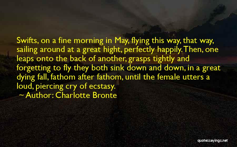 Charlotte Bronte Quotes: Swifts, On A Fine Morning In May, Flying This Way, That Way, Sailing Around At A Great Hight, Perfectly Happily.