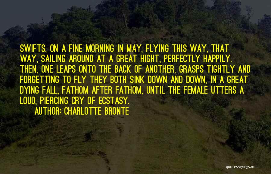 Charlotte Bronte Quotes: Swifts, On A Fine Morning In May, Flying This Way, That Way, Sailing Around At A Great Hight, Perfectly Happily.