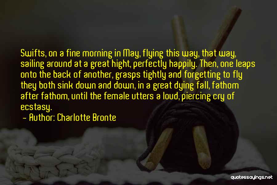 Charlotte Bronte Quotes: Swifts, On A Fine Morning In May, Flying This Way, That Way, Sailing Around At A Great Hight, Perfectly Happily.