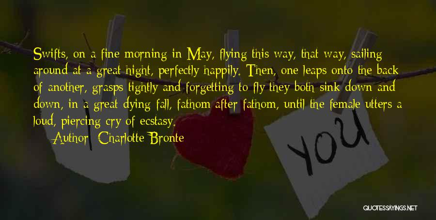 Charlotte Bronte Quotes: Swifts, On A Fine Morning In May, Flying This Way, That Way, Sailing Around At A Great Hight, Perfectly Happily.