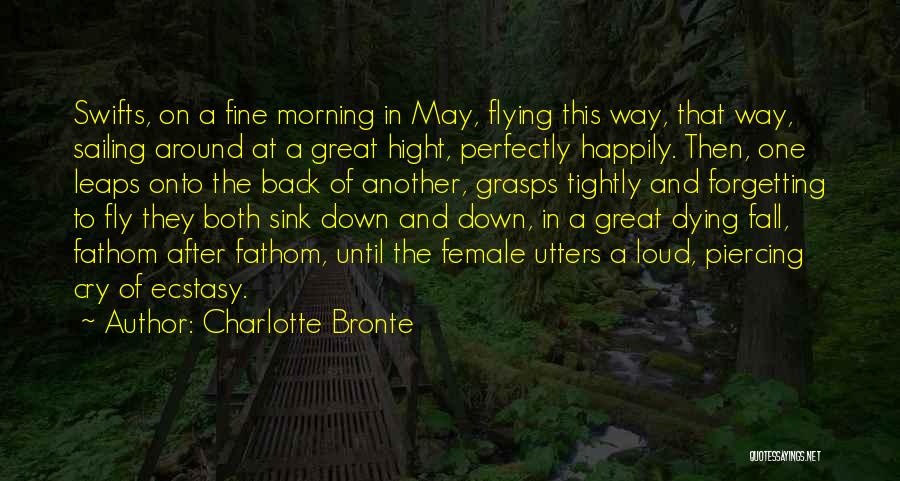 Charlotte Bronte Quotes: Swifts, On A Fine Morning In May, Flying This Way, That Way, Sailing Around At A Great Hight, Perfectly Happily.