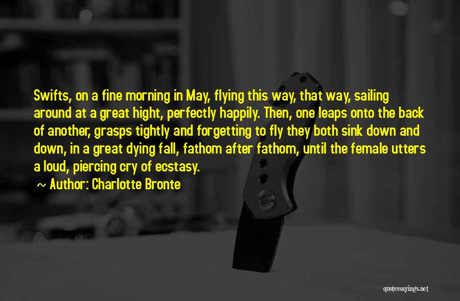 Charlotte Bronte Quotes: Swifts, On A Fine Morning In May, Flying This Way, That Way, Sailing Around At A Great Hight, Perfectly Happily.