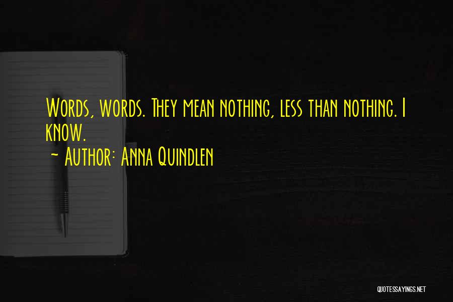 Anna Quindlen Quotes: Words, Words. They Mean Nothing, Less Than Nothing. I Know.