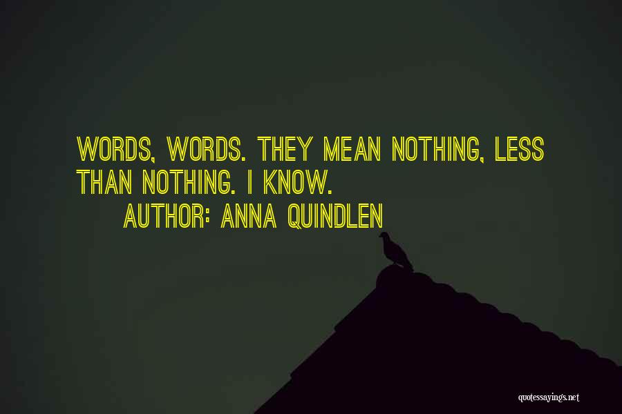 Anna Quindlen Quotes: Words, Words. They Mean Nothing, Less Than Nothing. I Know.