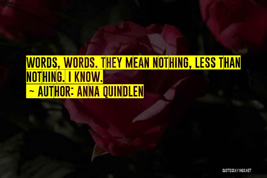 Anna Quindlen Quotes: Words, Words. They Mean Nothing, Less Than Nothing. I Know.