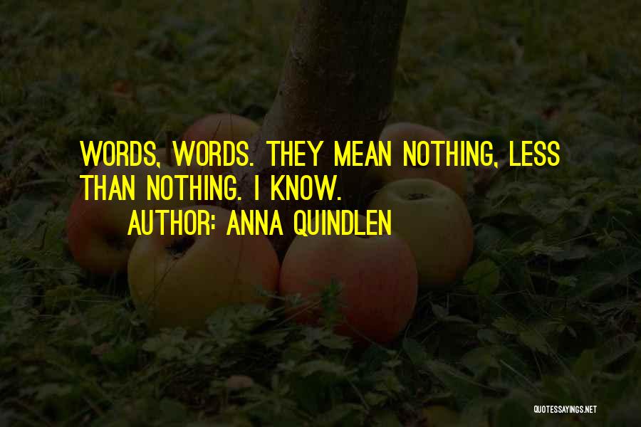 Anna Quindlen Quotes: Words, Words. They Mean Nothing, Less Than Nothing. I Know.