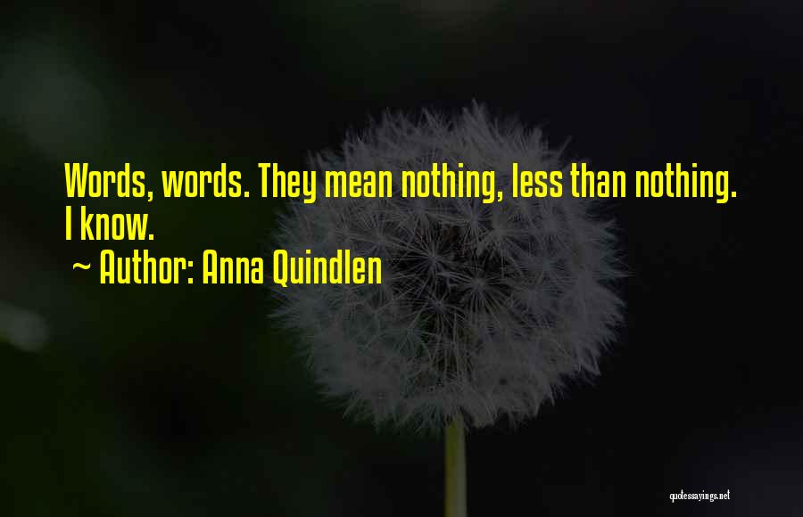 Anna Quindlen Quotes: Words, Words. They Mean Nothing, Less Than Nothing. I Know.