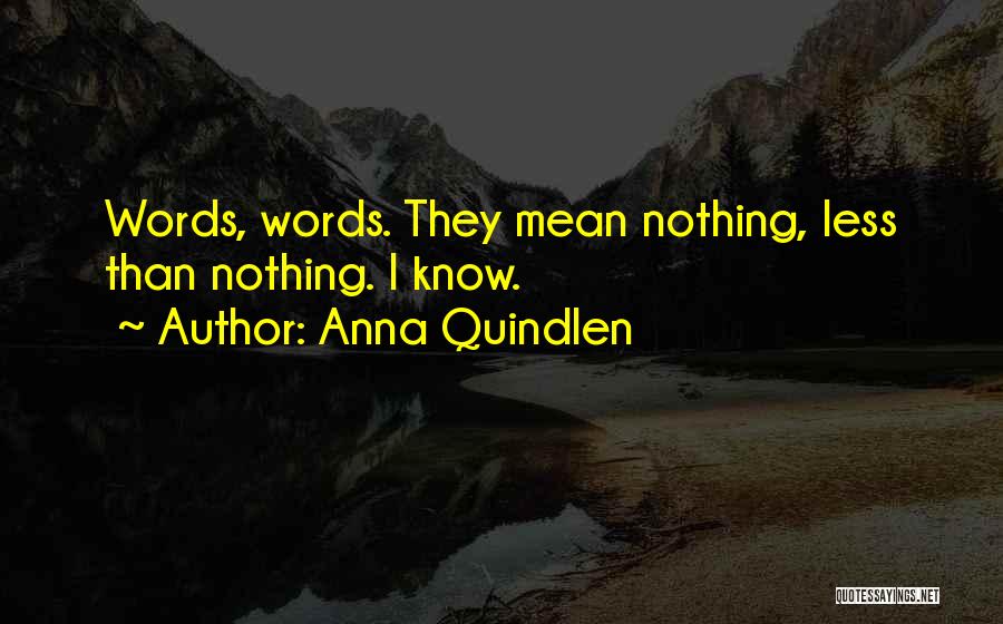 Anna Quindlen Quotes: Words, Words. They Mean Nothing, Less Than Nothing. I Know.