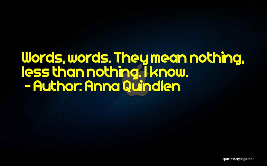 Anna Quindlen Quotes: Words, Words. They Mean Nothing, Less Than Nothing. I Know.