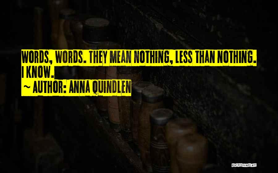 Anna Quindlen Quotes: Words, Words. They Mean Nothing, Less Than Nothing. I Know.