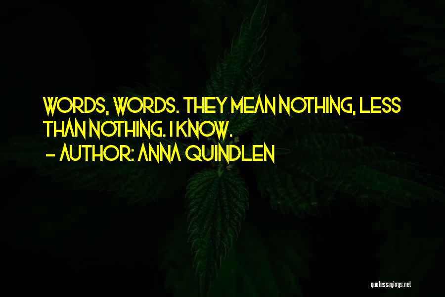 Anna Quindlen Quotes: Words, Words. They Mean Nothing, Less Than Nothing. I Know.