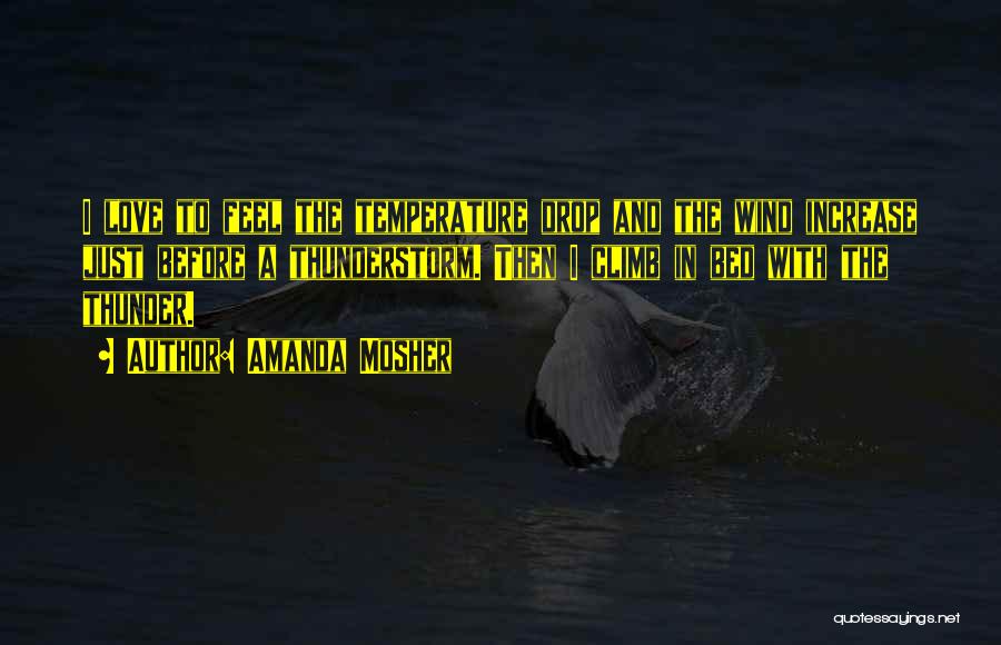 Amanda Mosher Quotes: I Love To Feel The Temperature Drop And The Wind Increase Just Before A Thunderstorm. Then I Climb In Bed