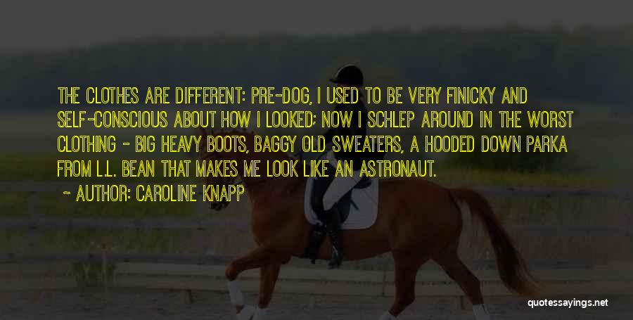 Caroline Knapp Quotes: The Clothes Are Different: Pre-dog, I Used To Be Very Finicky And Self-conscious About How I Looked; Now I Schlep