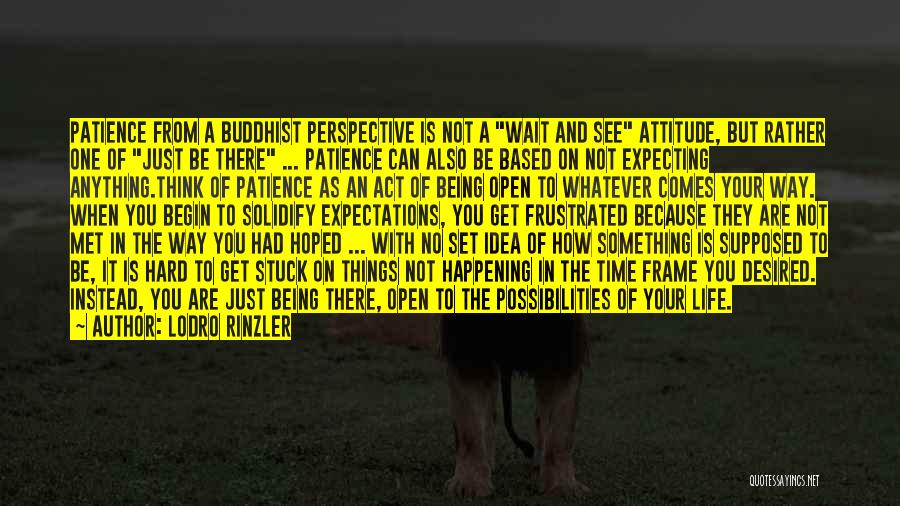 Lodro Rinzler Quotes: Patience From A Buddhist Perspective Is Not A Wait And See Attitude, But Rather One Of Just Be There ...