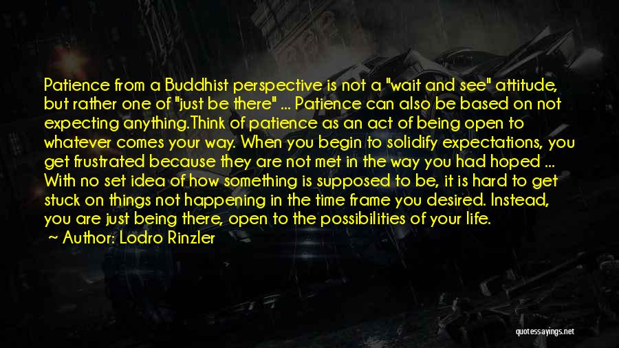 Lodro Rinzler Quotes: Patience From A Buddhist Perspective Is Not A Wait And See Attitude, But Rather One Of Just Be There ...