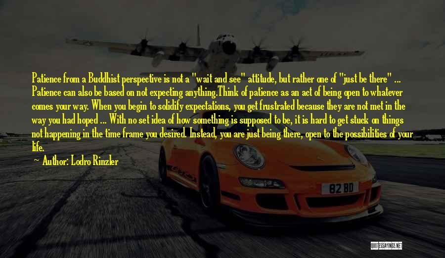 Lodro Rinzler Quotes: Patience From A Buddhist Perspective Is Not A Wait And See Attitude, But Rather One Of Just Be There ...