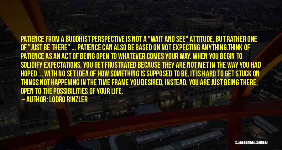 Lodro Rinzler Quotes: Patience From A Buddhist Perspective Is Not A Wait And See Attitude, But Rather One Of Just Be There ...