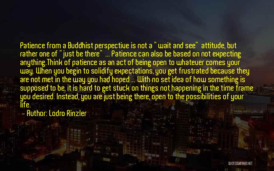 Lodro Rinzler Quotes: Patience From A Buddhist Perspective Is Not A Wait And See Attitude, But Rather One Of Just Be There ...