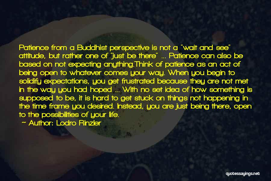 Lodro Rinzler Quotes: Patience From A Buddhist Perspective Is Not A Wait And See Attitude, But Rather One Of Just Be There ...