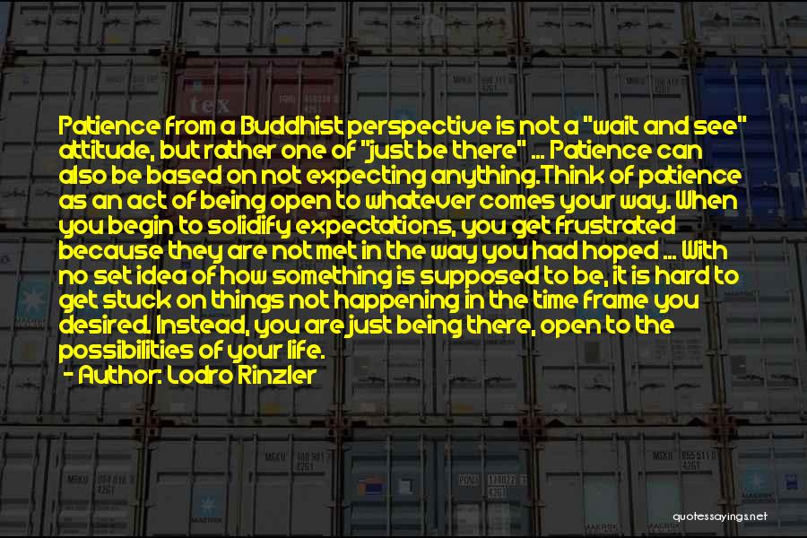 Lodro Rinzler Quotes: Patience From A Buddhist Perspective Is Not A Wait And See Attitude, But Rather One Of Just Be There ...