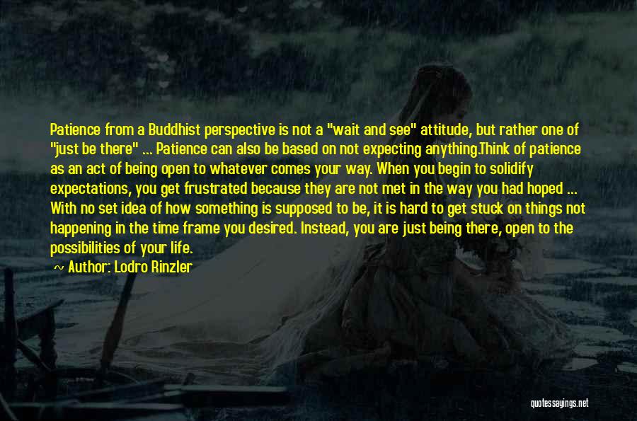 Lodro Rinzler Quotes: Patience From A Buddhist Perspective Is Not A Wait And See Attitude, But Rather One Of Just Be There ...