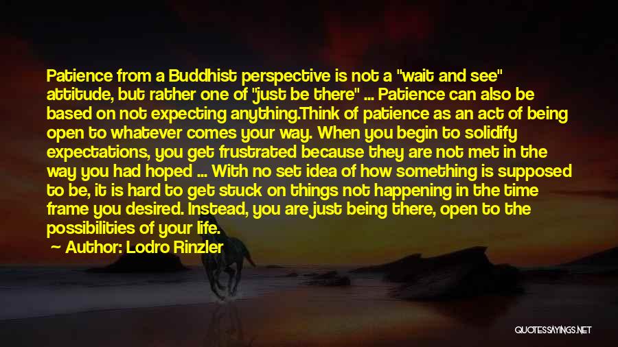 Lodro Rinzler Quotes: Patience From A Buddhist Perspective Is Not A Wait And See Attitude, But Rather One Of Just Be There ...