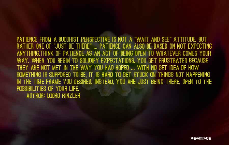 Lodro Rinzler Quotes: Patience From A Buddhist Perspective Is Not A Wait And See Attitude, But Rather One Of Just Be There ...