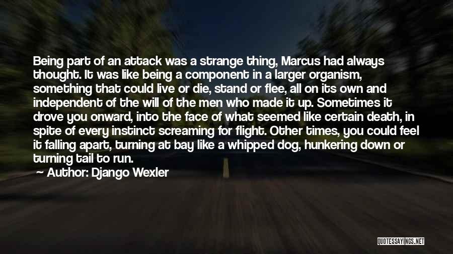 Django Wexler Quotes: Being Part Of An Attack Was A Strange Thing, Marcus Had Always Thought. It Was Like Being A Component In