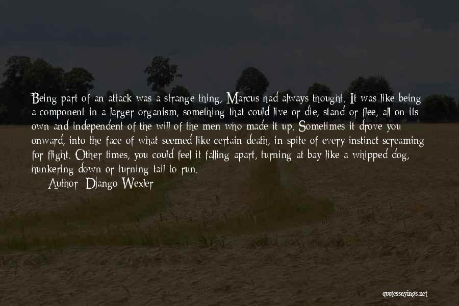 Django Wexler Quotes: Being Part Of An Attack Was A Strange Thing, Marcus Had Always Thought. It Was Like Being A Component In