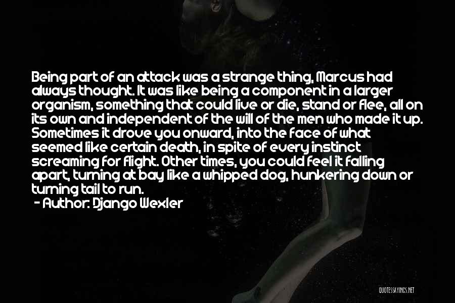 Django Wexler Quotes: Being Part Of An Attack Was A Strange Thing, Marcus Had Always Thought. It Was Like Being A Component In