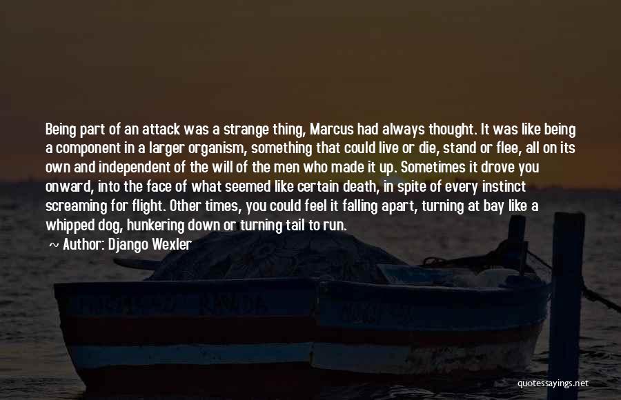 Django Wexler Quotes: Being Part Of An Attack Was A Strange Thing, Marcus Had Always Thought. It Was Like Being A Component In