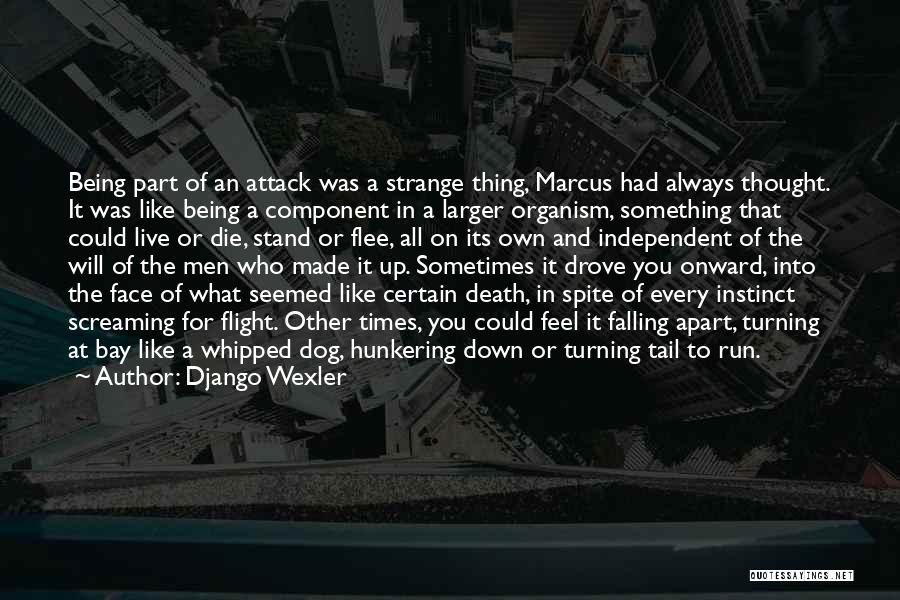 Django Wexler Quotes: Being Part Of An Attack Was A Strange Thing, Marcus Had Always Thought. It Was Like Being A Component In