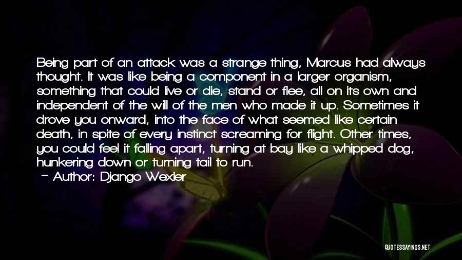 Django Wexler Quotes: Being Part Of An Attack Was A Strange Thing, Marcus Had Always Thought. It Was Like Being A Component In