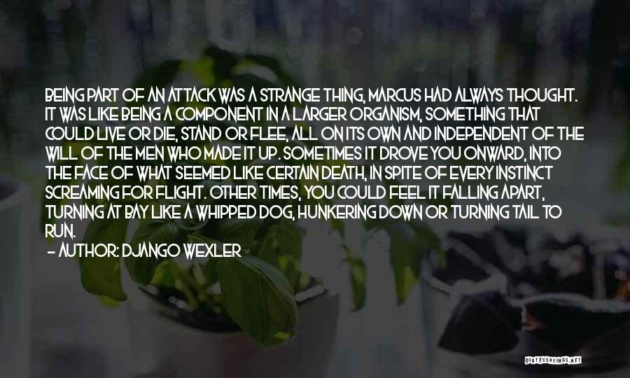 Django Wexler Quotes: Being Part Of An Attack Was A Strange Thing, Marcus Had Always Thought. It Was Like Being A Component In