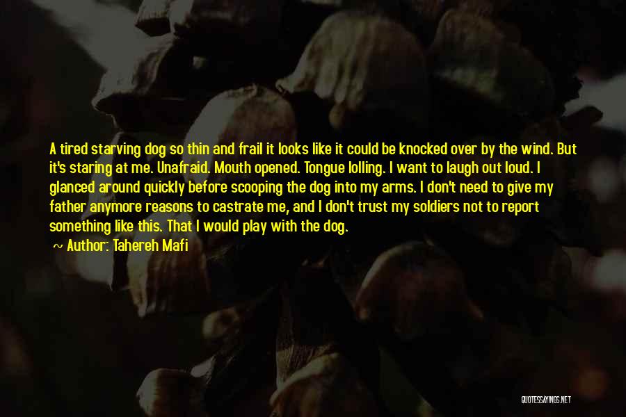 Tahereh Mafi Quotes: A Tired Starving Dog So Thin And Frail It Looks Like It Could Be Knocked Over By The Wind. But