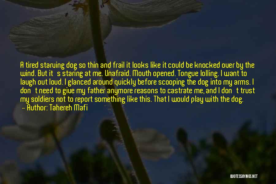 Tahereh Mafi Quotes: A Tired Starving Dog So Thin And Frail It Looks Like It Could Be Knocked Over By The Wind. But