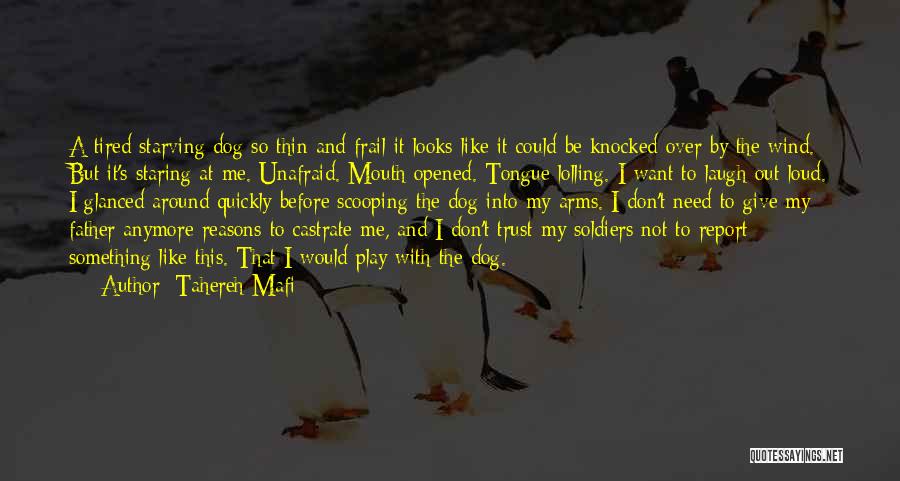 Tahereh Mafi Quotes: A Tired Starving Dog So Thin And Frail It Looks Like It Could Be Knocked Over By The Wind. But