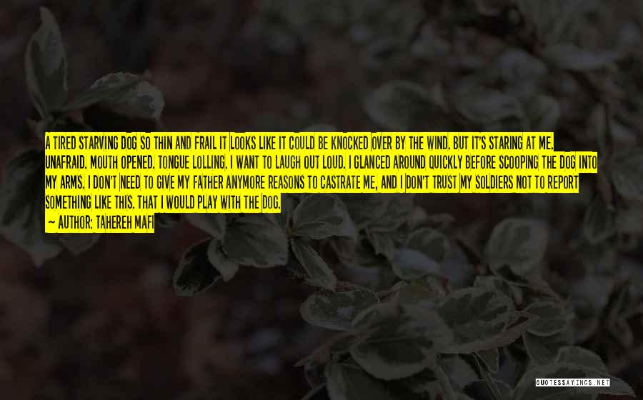 Tahereh Mafi Quotes: A Tired Starving Dog So Thin And Frail It Looks Like It Could Be Knocked Over By The Wind. But
