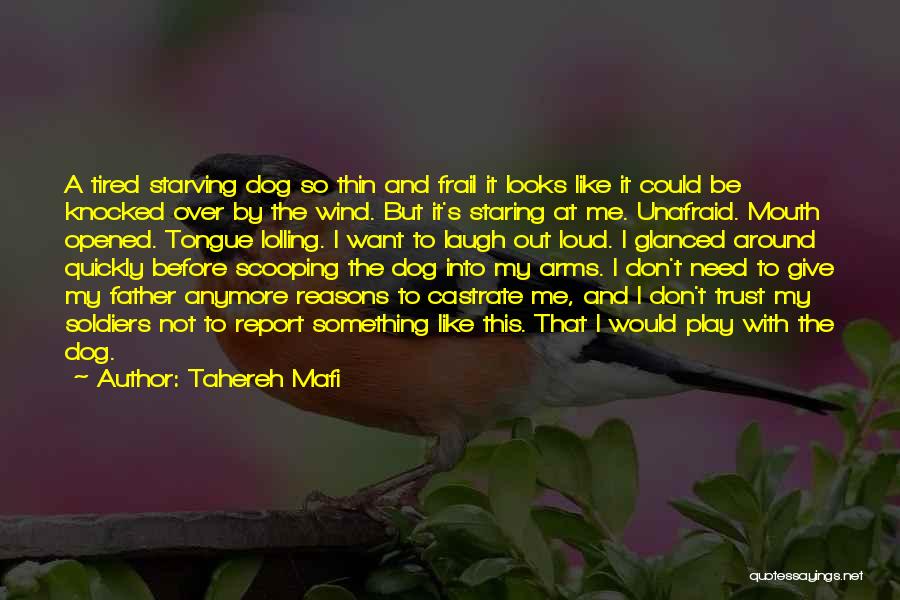 Tahereh Mafi Quotes: A Tired Starving Dog So Thin And Frail It Looks Like It Could Be Knocked Over By The Wind. But