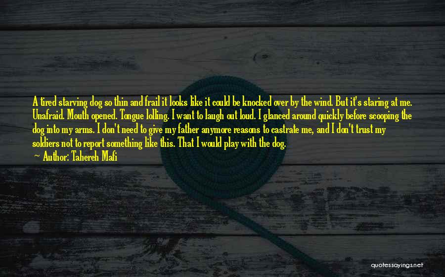 Tahereh Mafi Quotes: A Tired Starving Dog So Thin And Frail It Looks Like It Could Be Knocked Over By The Wind. But
