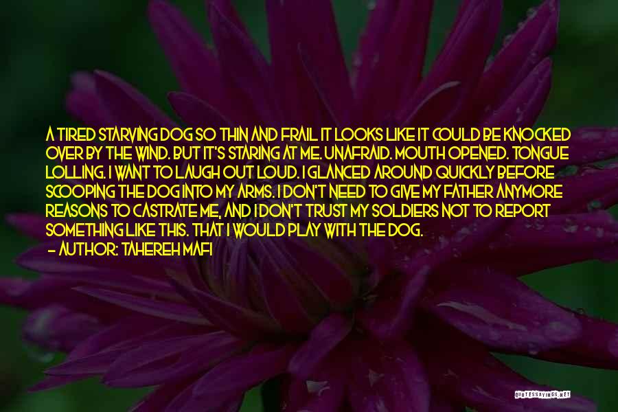 Tahereh Mafi Quotes: A Tired Starving Dog So Thin And Frail It Looks Like It Could Be Knocked Over By The Wind. But