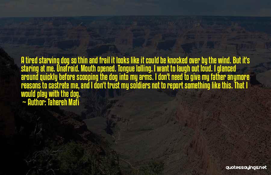 Tahereh Mafi Quotes: A Tired Starving Dog So Thin And Frail It Looks Like It Could Be Knocked Over By The Wind. But