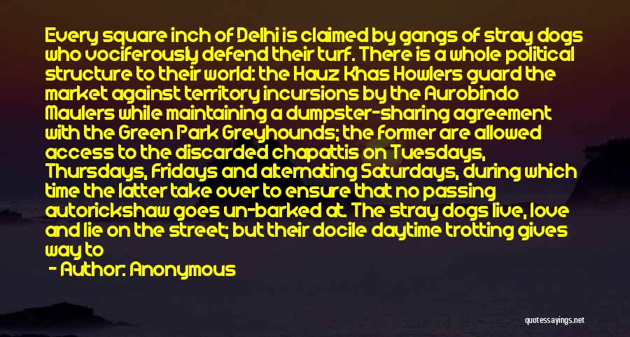 Anonymous Quotes: Every Square Inch Of Delhi Is Claimed By Gangs Of Stray Dogs Who Vociferously Defend Their Turf. There Is A