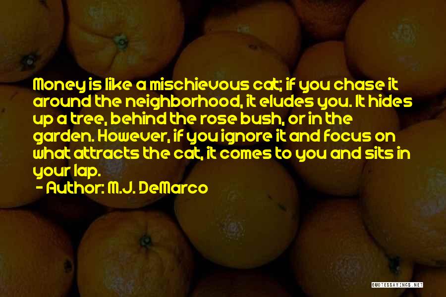 M.J. DeMarco Quotes: Money Is Like A Mischievous Cat; If You Chase It Around The Neighborhood, It Eludes You. It Hides Up A