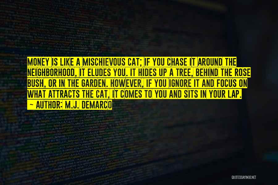 M.J. DeMarco Quotes: Money Is Like A Mischievous Cat; If You Chase It Around The Neighborhood, It Eludes You. It Hides Up A