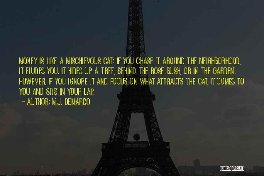 M.J. DeMarco Quotes: Money Is Like A Mischievous Cat; If You Chase It Around The Neighborhood, It Eludes You. It Hides Up A