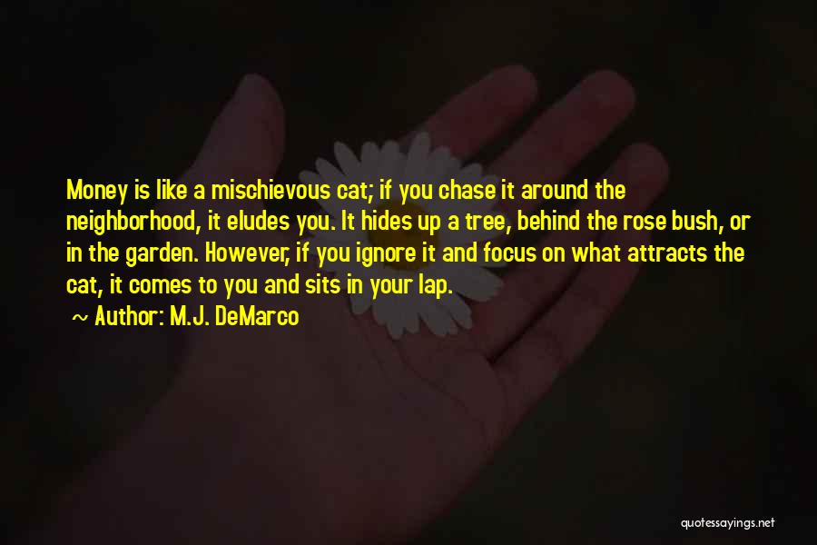 M.J. DeMarco Quotes: Money Is Like A Mischievous Cat; If You Chase It Around The Neighborhood, It Eludes You. It Hides Up A