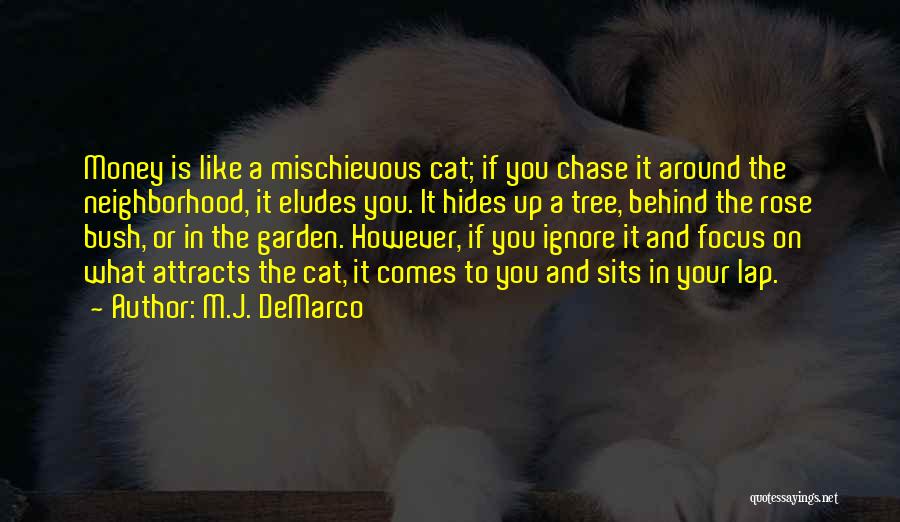 M.J. DeMarco Quotes: Money Is Like A Mischievous Cat; If You Chase It Around The Neighborhood, It Eludes You. It Hides Up A