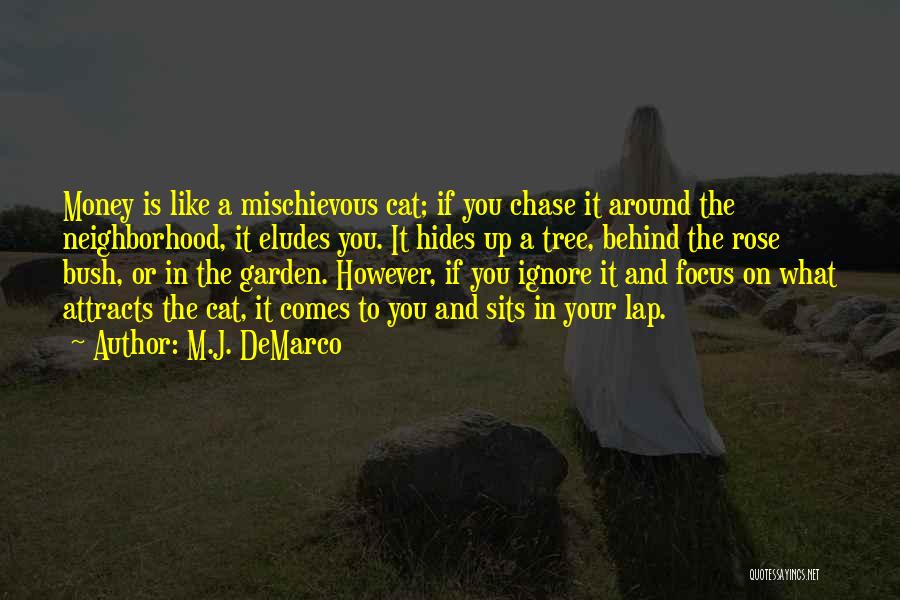 M.J. DeMarco Quotes: Money Is Like A Mischievous Cat; If You Chase It Around The Neighborhood, It Eludes You. It Hides Up A